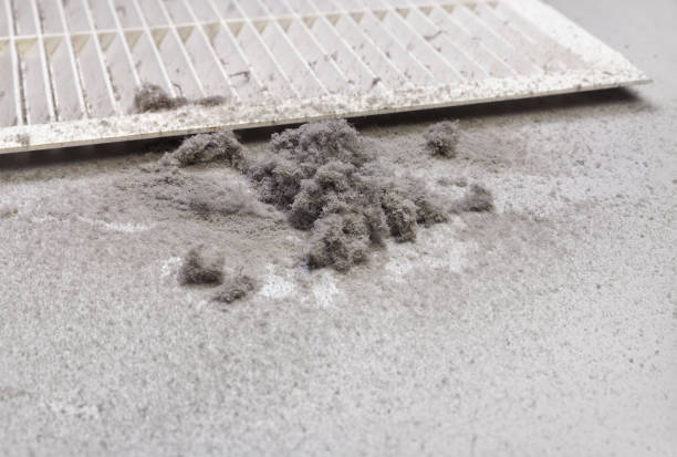 Best Professional Duct Cleaning Services  in Tarpon Springs, FL