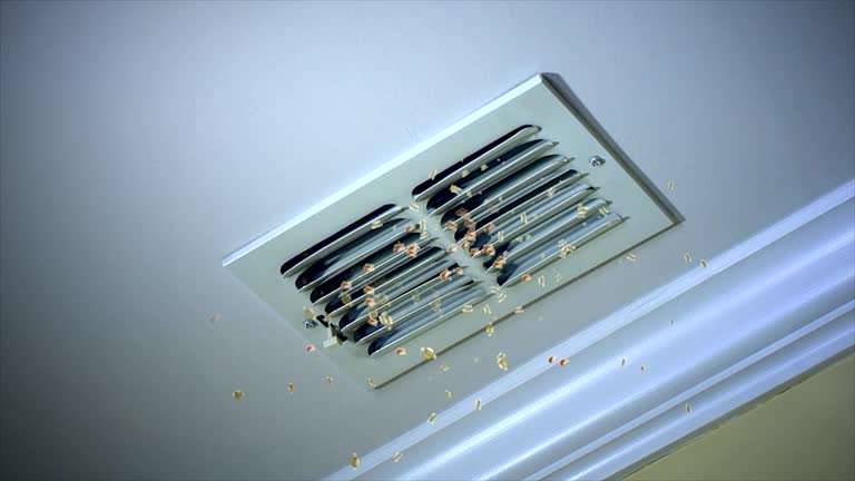 Best Air Duct Cleaning Near Me  in Tarpon Springs, FL
