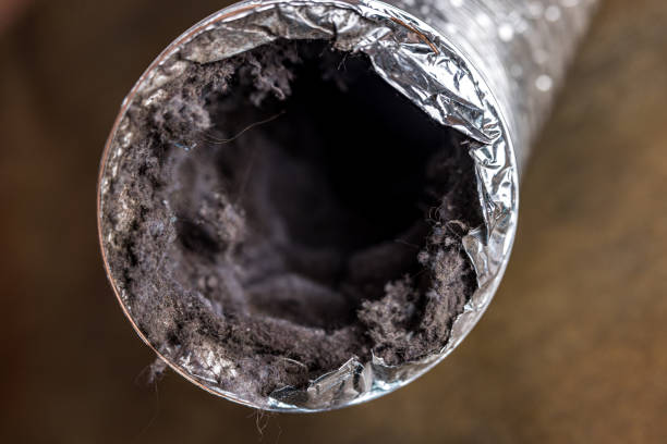 Best HVAC System Cleaning  in Tarpon Springs, FL