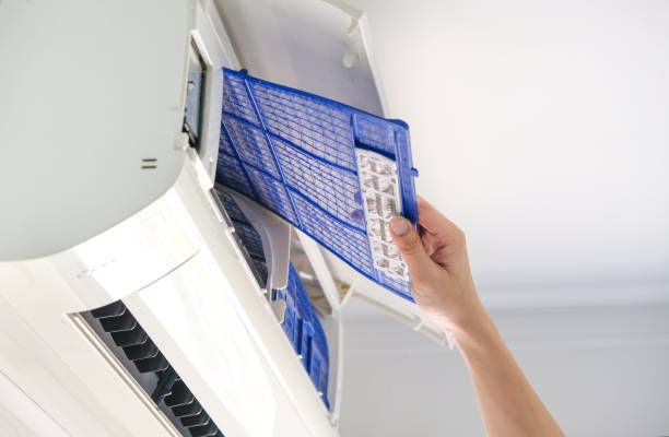 Best Affordable Air Duct Cleaning  in Tarpon Springs, FL