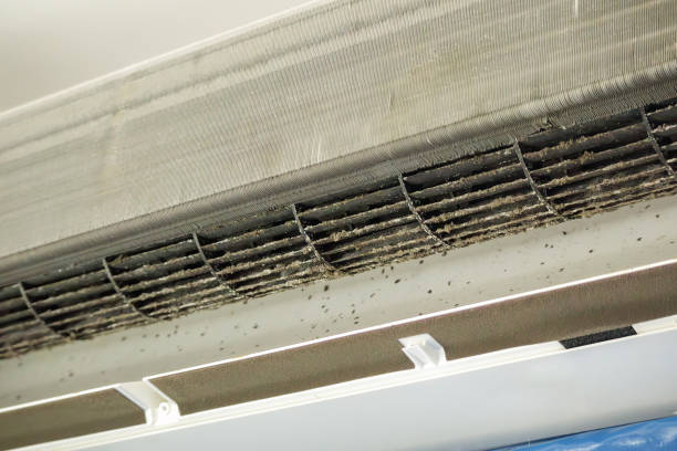 Best Air Vent Cleaning Services  in Tarpon Springs, FL